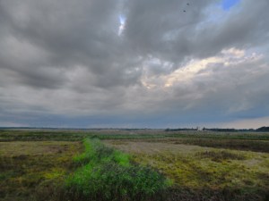 Walberswick, Suffolk