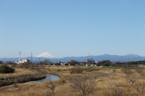 Fuji-san