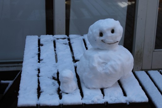 ITTAN Guesthouse, Nasu