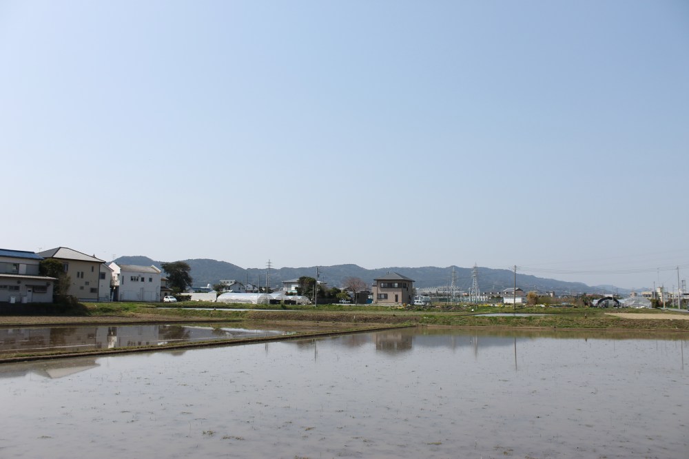 Kamogawa