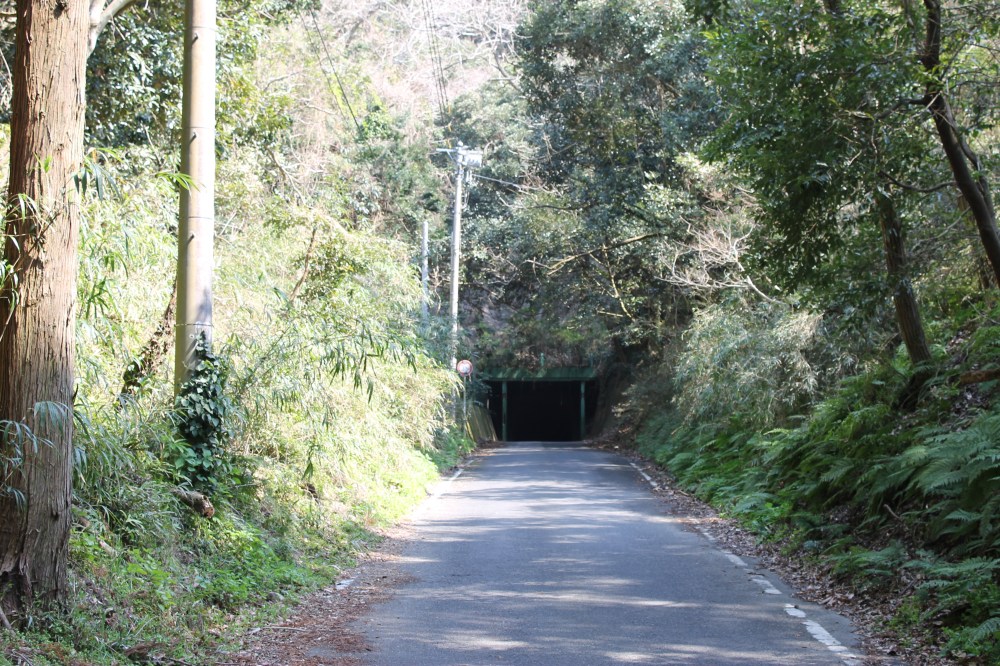 Spirited Away Tunnel