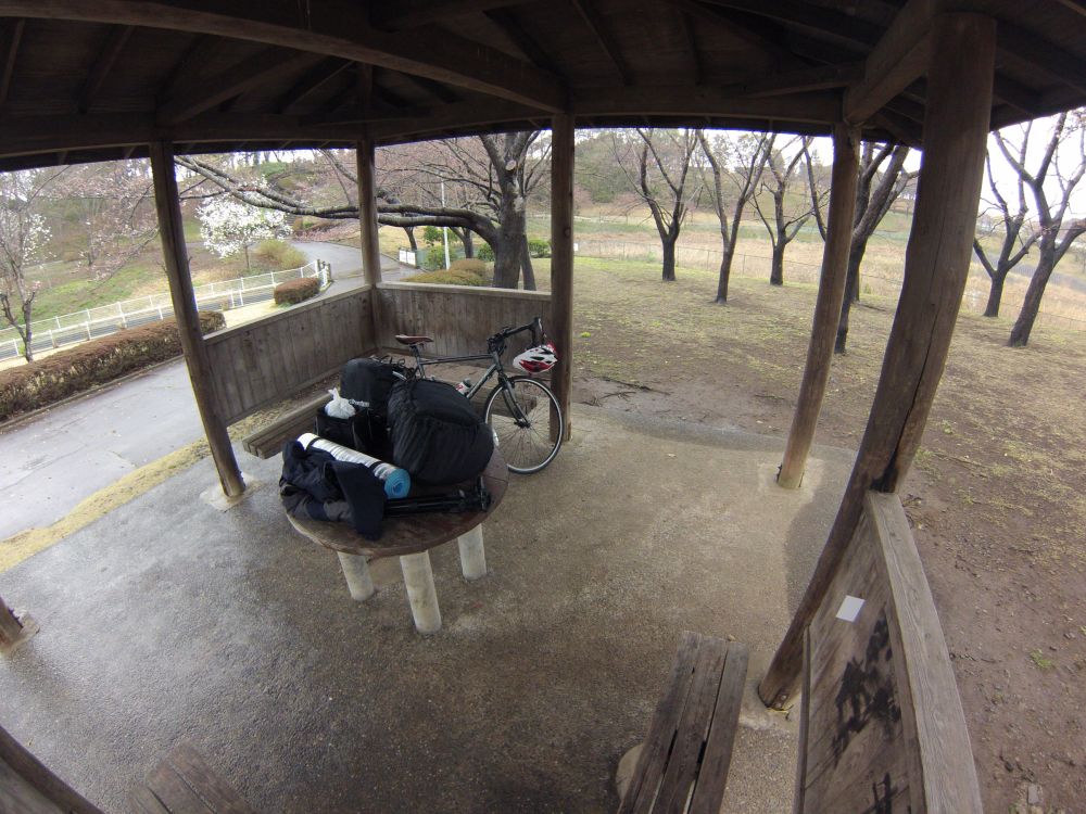 The Nights Digs - Narita