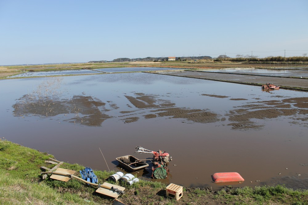 Rice Paddy Prep. Ibaraki