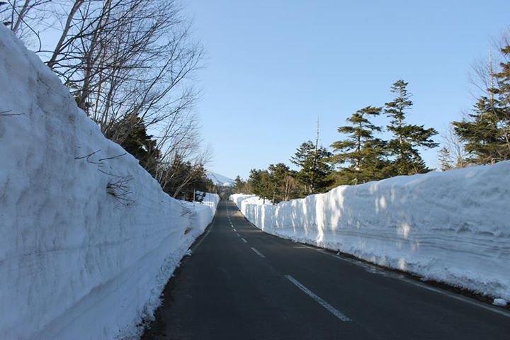 10338868_786221484736380_240579731742559388_n