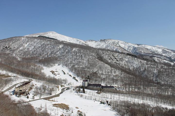 10368256_786221341403061_2192242741914213307_n