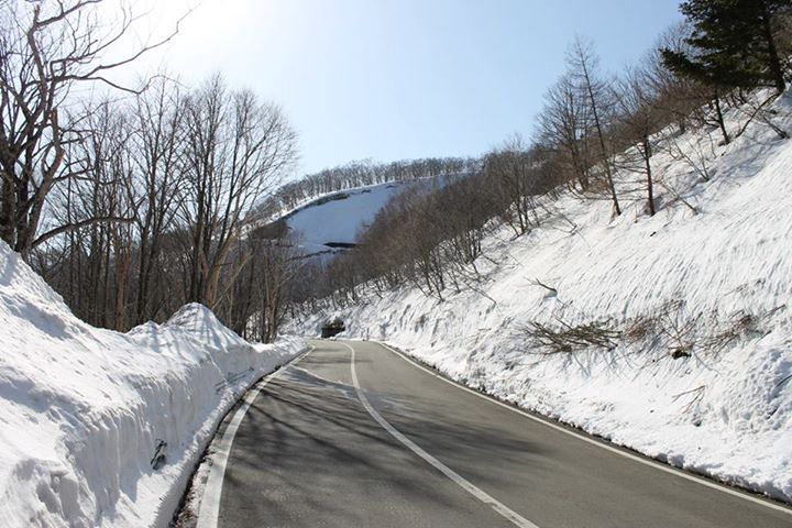 10374106_786221431403052_1021443422862567832_n