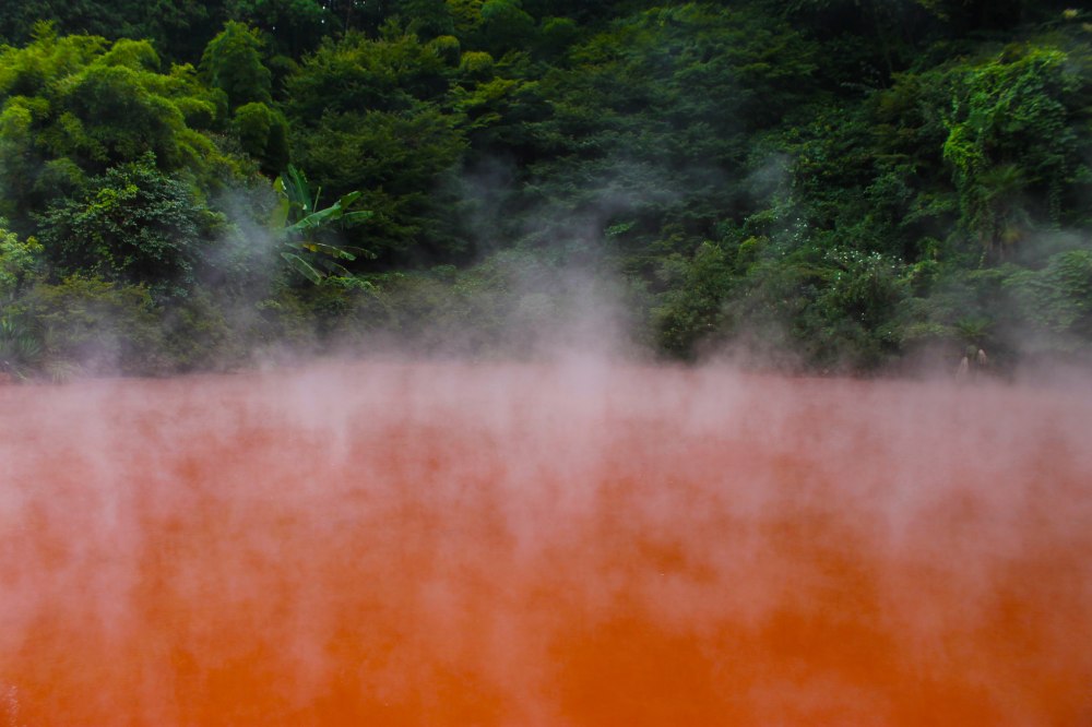 33833831295_d326122876_k